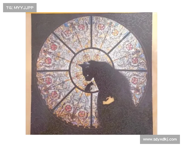 揭开拼图背后神秘线索的面纱探索破解之谜的关键一步 揭开拼图背后神秘线索的面纱探索破解之谜的关键一步