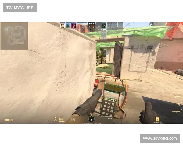 推荐五大俄罗斯CSGO皮肤交易平台助你畅享游戏市场