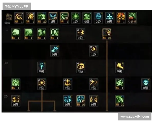 深度解析DNF力驱技能加点策略全面提升角色输出效率