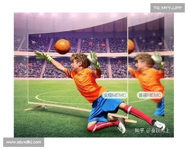 全面解析足球大赛观赛活动参与方式与精彩体验指南