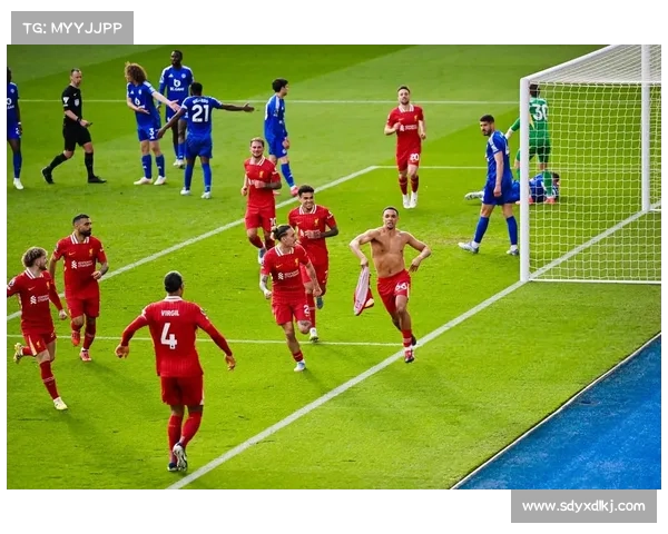 如何全面分析利物浦在英超赛季中的表现与未来发展趋势