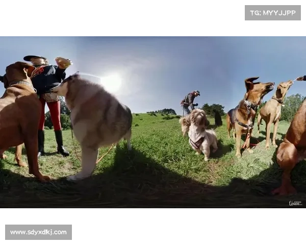 挑战极限激情探险南美山地自行车赛全景回顾与精彩瞬间